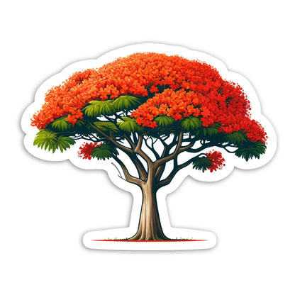 Árbol de Flamboyán‎ ‎ ‎ ‎ ‎ ‎ ‎ ‎ (𝗦𝘁𝗶𝗰𝗸𝗲𝗿 𝗟𝗮𝗺𝗶𝗻𝗮𝗱𝗼)